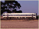 Sprinter,Diggers Rest