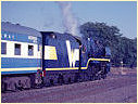 R766,Carlsruhe,Woodend