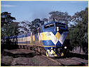 S302,South Geelong
