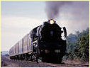 R766,Winchelsea,Birregurra