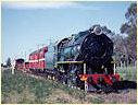 V1209,X3,X20,Drysdale