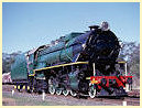 V1209,Drysdale