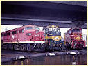4471,T390,T381,South Dynon