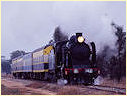 K183,Tatura