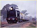 K183,Merrigum