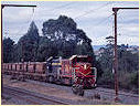 T377,T364,Drouin