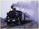 D3 639,Echuca