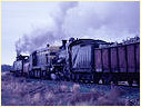 Y112,D3 639,T413,Echuca,Rochester 
