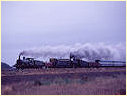Y112,D3 639,T413,Echuca,Strathalan,Rochester 