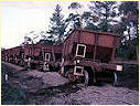 Wagons,Bittern