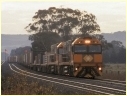 NR81,NR105,Wallan