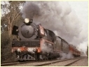 R703,Seymour,Mangalore