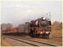 R703,Avenal