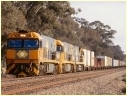 NR81,Euroa,Violet Town
