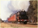 R703,Euroa,Violet Town