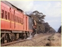 R703,Euroa,Violet Town