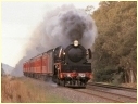 R703,Longwood