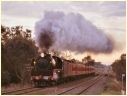 R703,Avenal