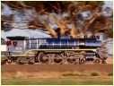R711,Diggers Rest