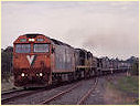 G525,Meredith
