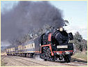 R761,Ravenswood