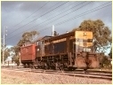 Y137,Westall