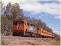 N466,Euroa