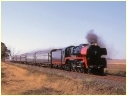 R707,Gnarkeet