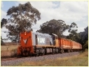 P15,Ruby,Leongatha