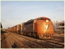 S307,Y143,Seymour