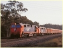 N466,A,Tallarook