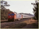 G521,Tallarook