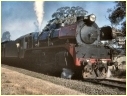 R761,Ararat