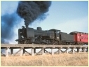 N428,Rupanyup