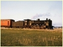 N428,Bolangum