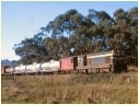 Lilydale