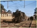 J529,Lilydale