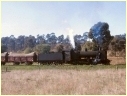 K167,Maryborough