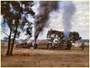 R701,N480,Maryborough