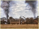 R701,N480,Maryborough