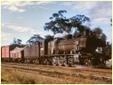 N430,Maryborough