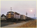 4202,Goulburn