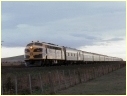 B60,Donnybrook
