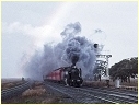 K184,Wallan