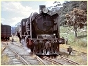 K150,Warburton