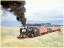 A2 986,Tarrawarra