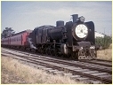 N460,Queenscliff