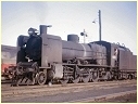 N460,Geelong
