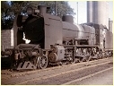 N420,Geelong