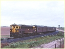 4425,Junee